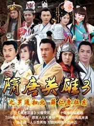 隋唐英雄3DVD版