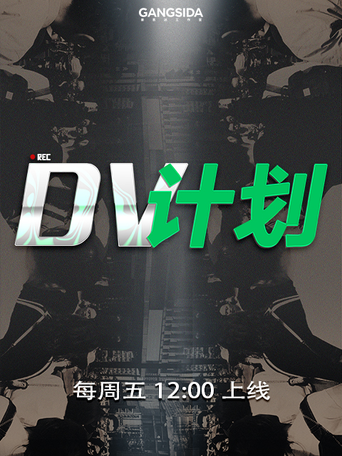 DV计划